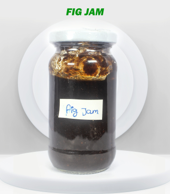 sunlight bell solar lamp